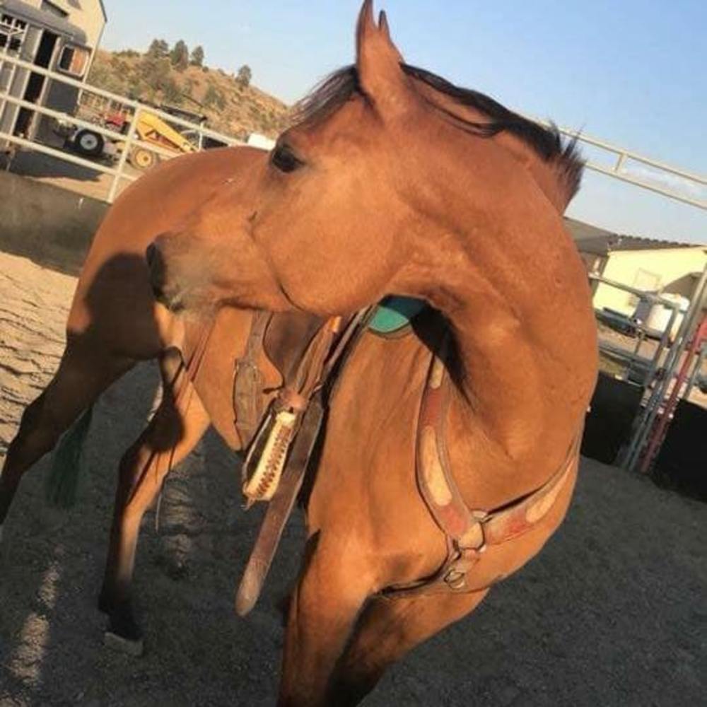 Meet your Posher, Cortney